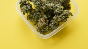 Exploring Educational Resources at Recreational Cannabis Dispensaries