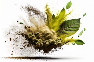 A Guide to the Different Strains of Kratom