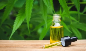 Digestive Health: CBD Products for Gastrointestinal Wellness